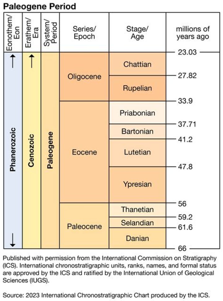 When was the Paleogene period?