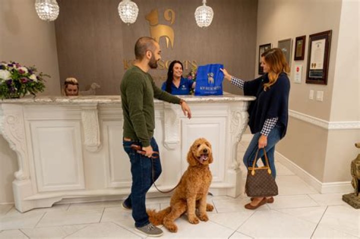 Where does hotel for dogs take place?