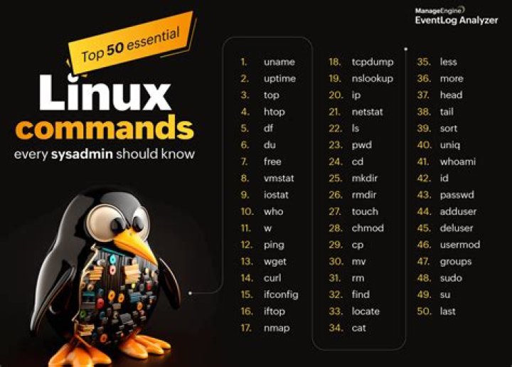 Which common commands are used to navigate through shells?