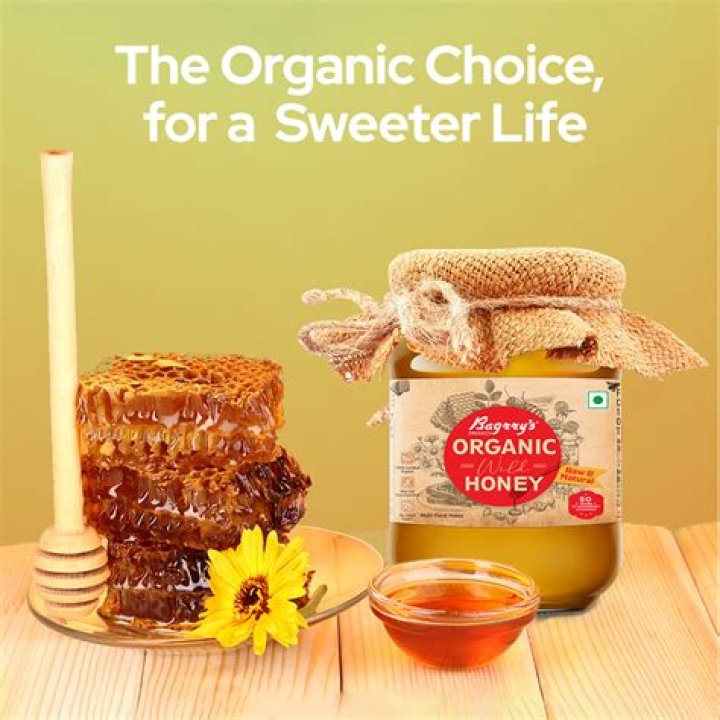 Which is best organic honey in India?