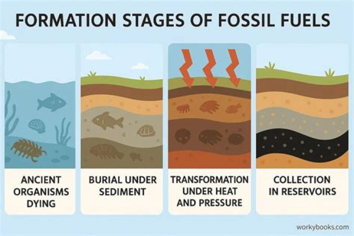 Which of the following is a mineral resource formed on the deep ocean floor?