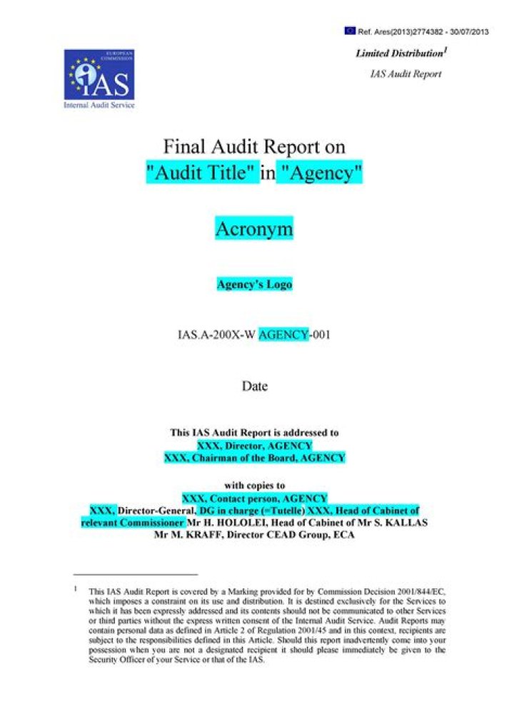 Who are audit reports addressed to?