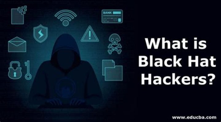 Why do black hat hackers hack?