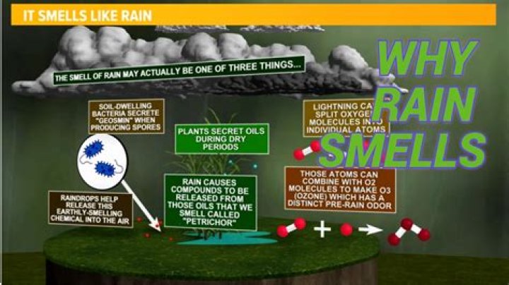 Why do I smell like metal down there?