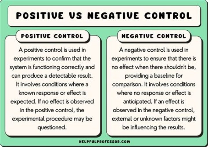 Why is it important to have positive and negative controls?