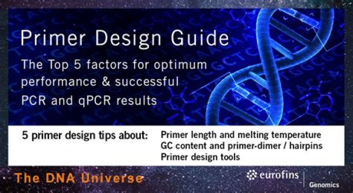 Why is primer design important?